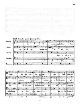 Laudate Dominum quia benignus est