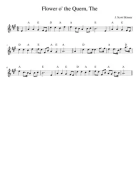 the Flower o' the Quern