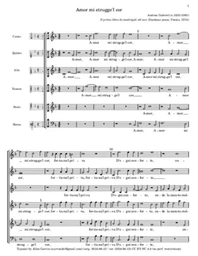 Amor mi strugge'l cor