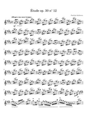 24 Etudes for Flute Op.30
