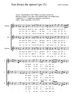 Een dwaes die spreect