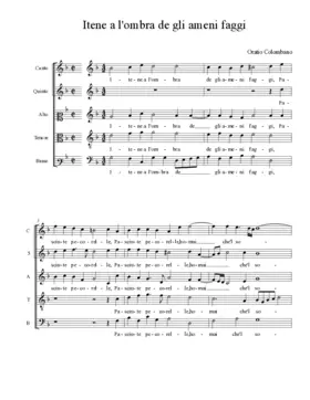 Itene a l'ombra de gli ameni faggi