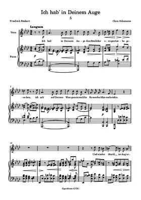 Ich hab’ in Deinem Auge
