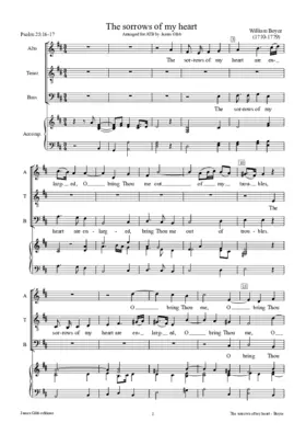 The sorrows of my heart