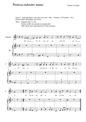 Pietosa industre mano