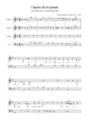 Cupido fra le piante