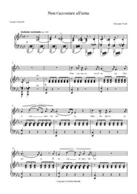 Non t'accostare all'urna