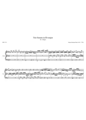 Organ Sonata No.1 in E-flat major BWV 525