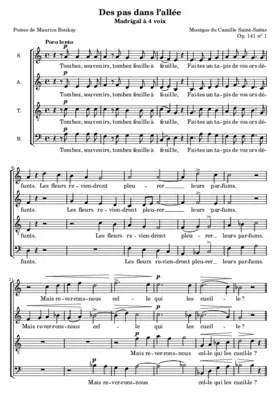 Des pas dans l'allée