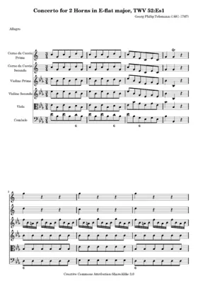 Concerto for 2 Horns