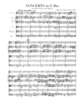 Flute Concerto in G major