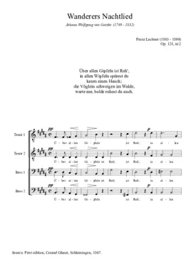 Wanderers Nachtlied