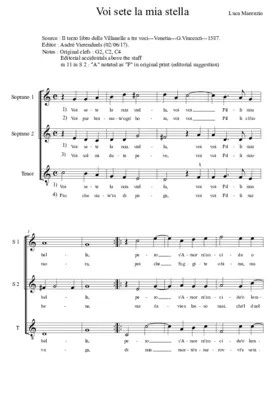 Voi sete la mia stella