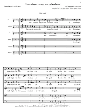 Passando con pensier per un boschetto