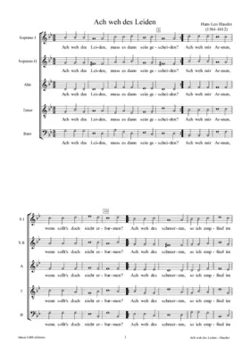 Ach weh des Leiden