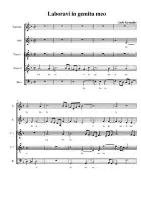 Laboravi in gemitu meo