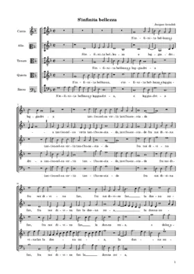 S'infinita bellezza