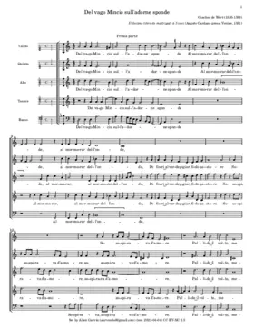 Del vago Mincio sull'adorne sponde