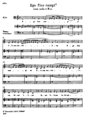 Ego flos campi, SV 301