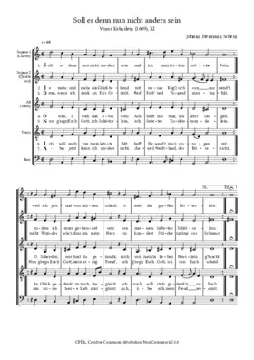 Soll es denn nun nicht anders sein