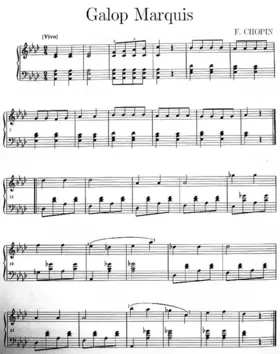 Gallop marquis
