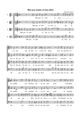 Mes pas semés et loin allés