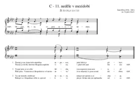 C - 11. neděle v mezidobí