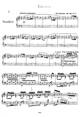 2 Polonaises caractéristiques