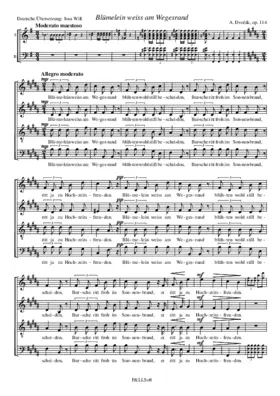 Rusalka - Blümelein weiss am Wegensrand