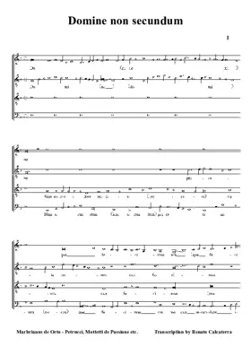 Domine non secundum