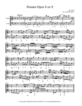 Violin Sonata in B-flat major