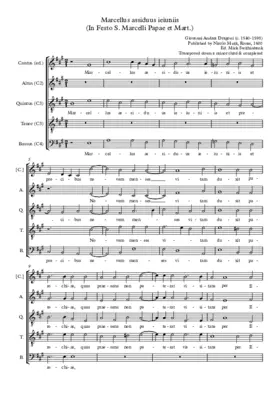 Marcellus assiduus ieiuniis