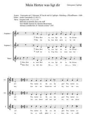 Mein Hertze was liegt dir an