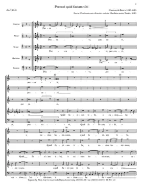 Peccavi quid faciam tibi