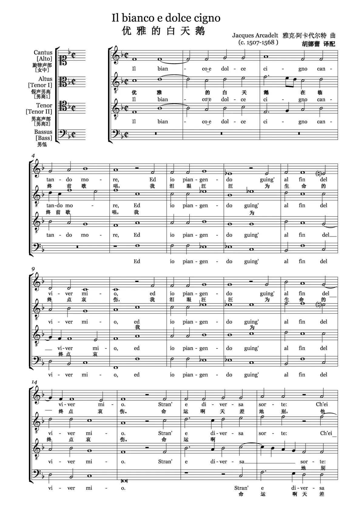 Il bianco e dolce cigno - Page 1