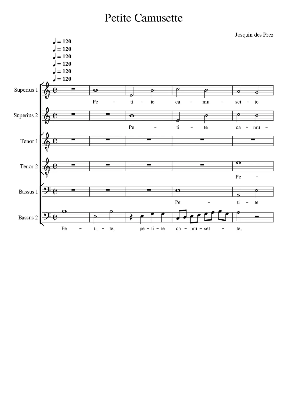 Petite camusette - Page 1