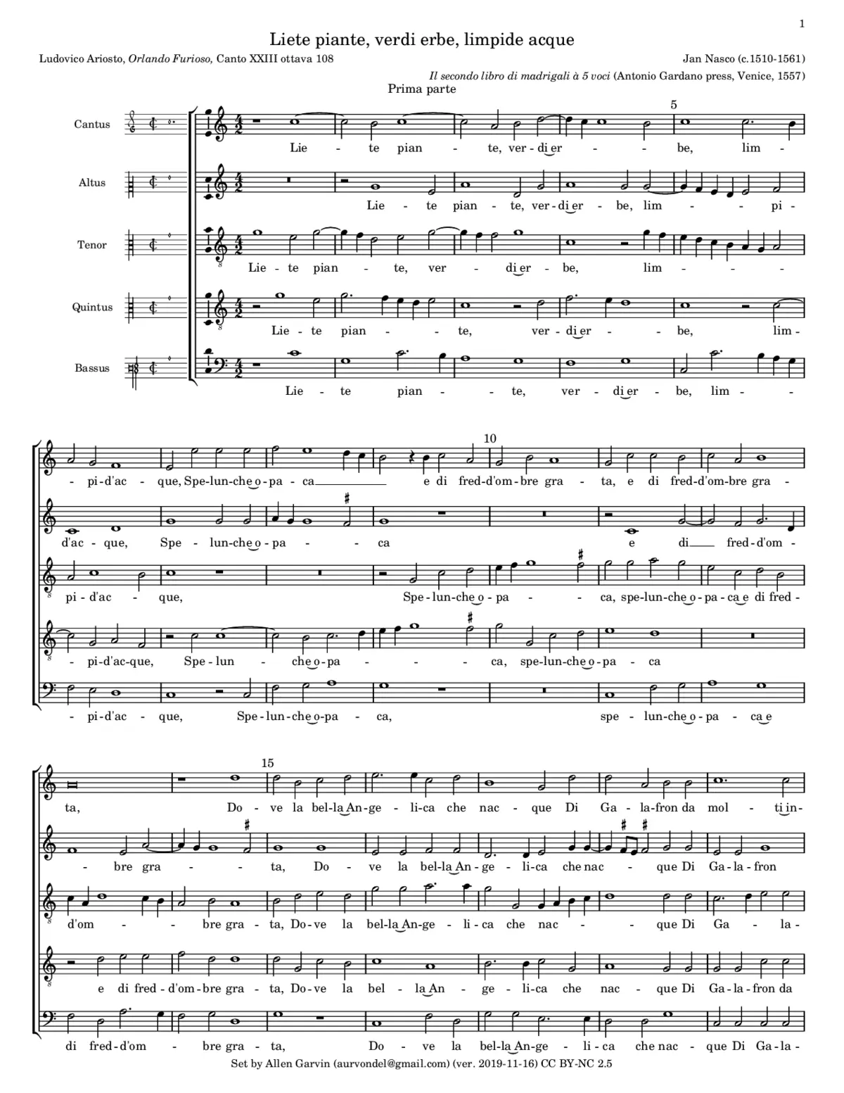Liete piante, verdi erbe, limpide acque - Page 1