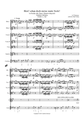 Herr, schau doch meine matte Seele