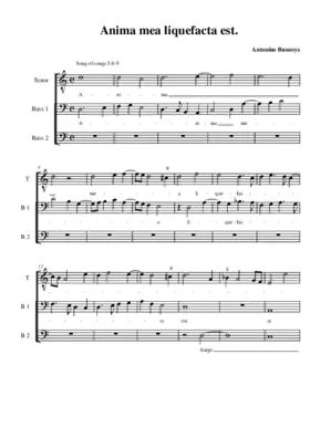Anima mea liquefacta est