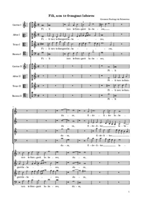 Fili non te frangant labores