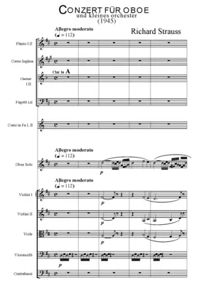 Concerto for Oboe and Small Orchestra