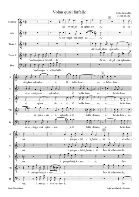 Volan quasi farfalle