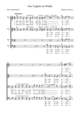 Das Vöglein im Walde