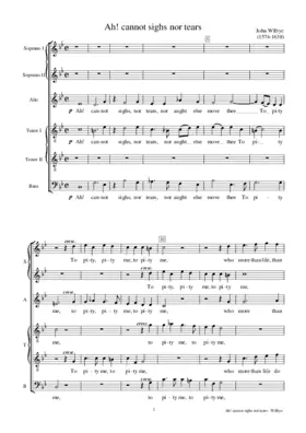 Ah! cannot sighs nor tears