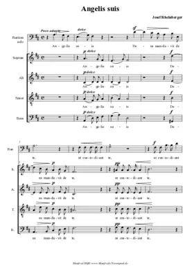 Carmina sacra - 11 Motetten