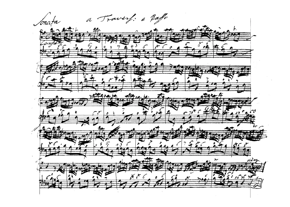 Flute Sonata in E minor - Page 1