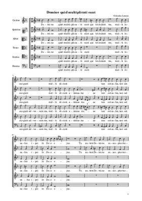 Domine quid multiplicati sunt