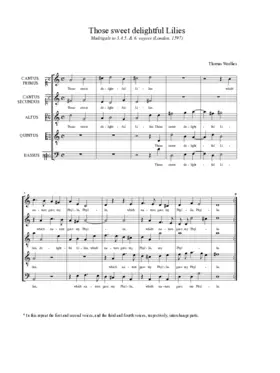 Those sweet delightful lilies