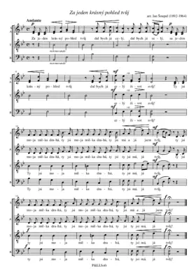 Za jeden krásný pohled tvůj