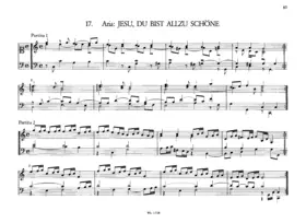 Jesu, du bist allzu schöne